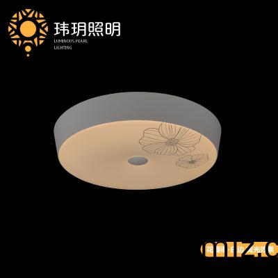 室(shi)內(nèi)吸頂燈